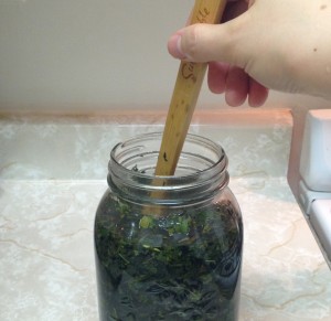 Mix thoroughly with a long-handled spoon to saturate the herb. Photo from my personal collection.